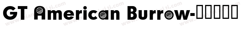 GT American Burrow字体转换